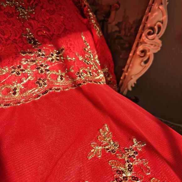 Formal Dress New - Picture 5 of 12